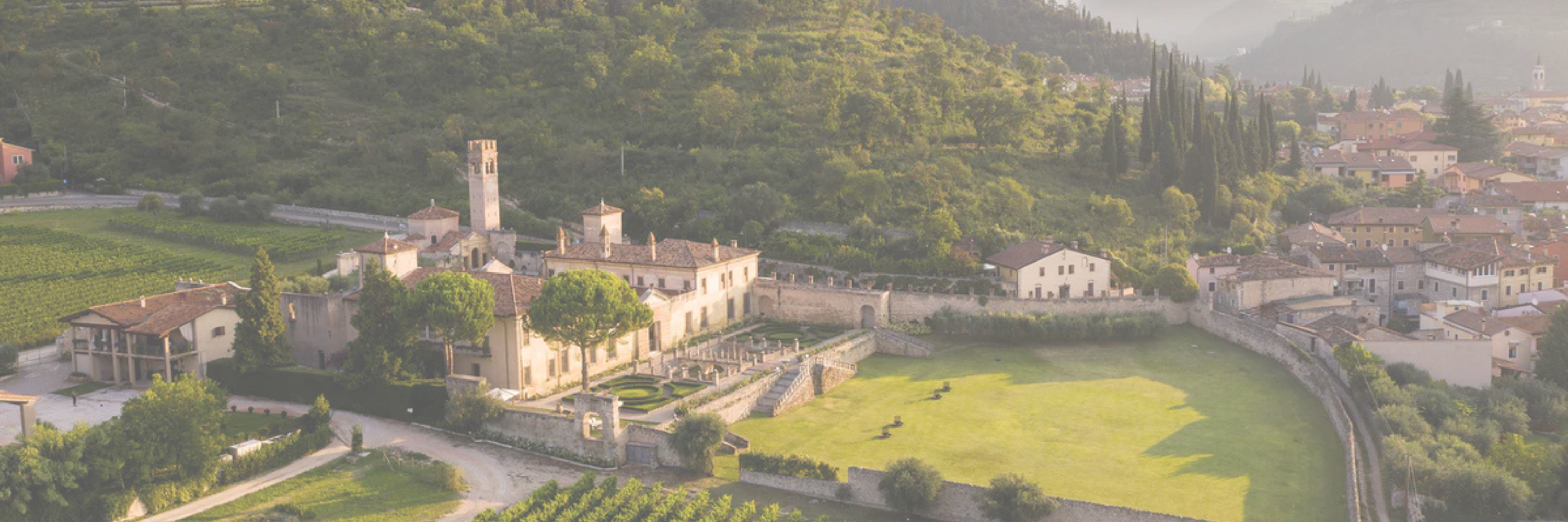 Collezione Radice Nobile